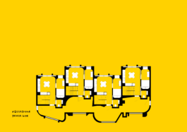 xanderwillemsen