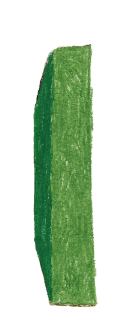 xanderwillemsen