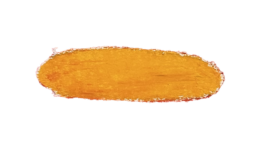 xanderwillemsen