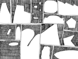 xanderwillemsen